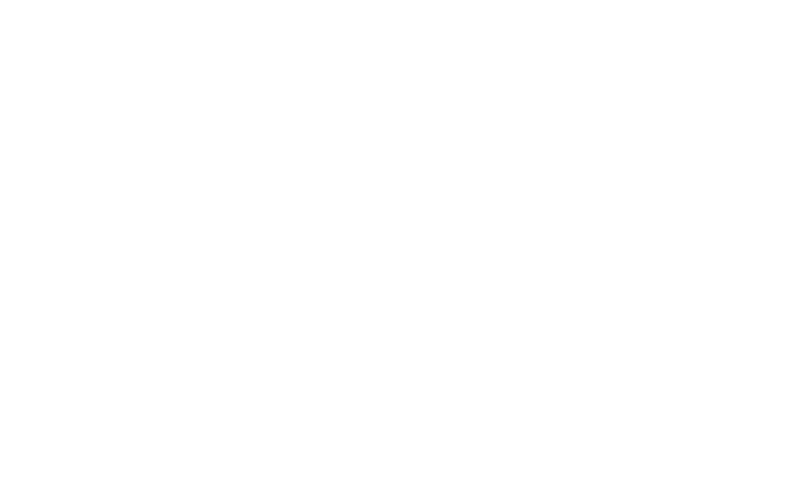 EIISFORCE